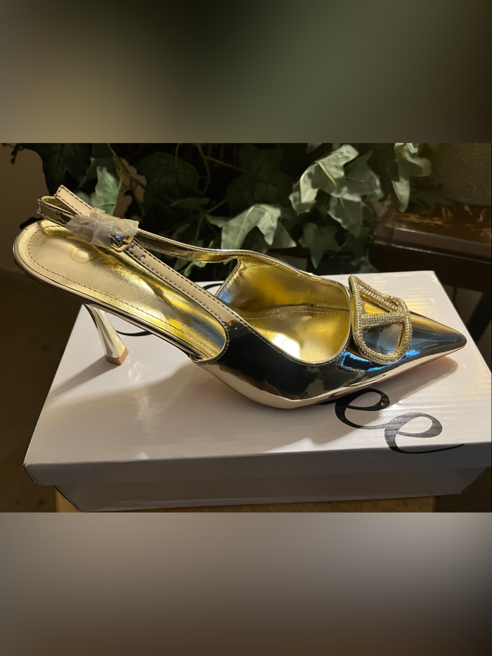 Jubilee Sakina 1, Gold Pointed Toe Slingback Heels with Jewel Accent